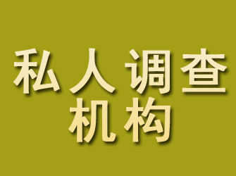 文山私人调查机构